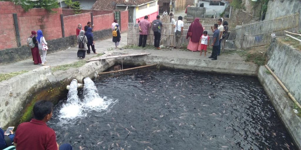 Salah satu sudut Desa Ponggok (dok: PKPM/COMMIT)