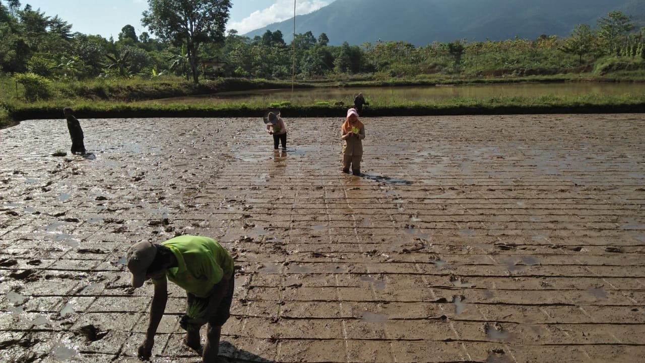 Cerita dari Negeri Awan di Atas Gunung (Bagian 2)