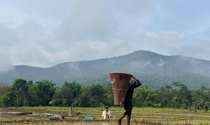 Kampung Halaman yang Kehilangan Jati Diri